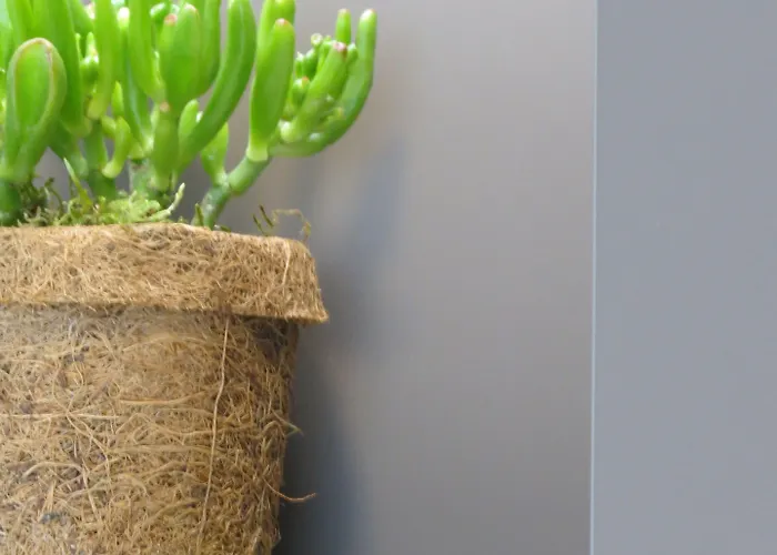 Szálloda Neuthor 3*